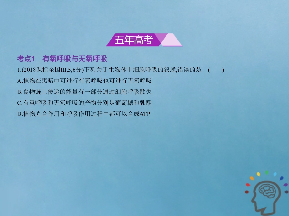 2019届新课标Ⅰ高考生物一轮复习专题5细胞呼吸讲义.ppt_第2页