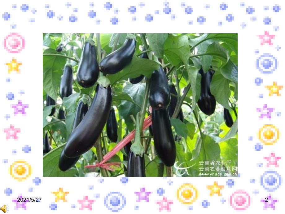 关于蔬菜的作文写作.ppt_第2页