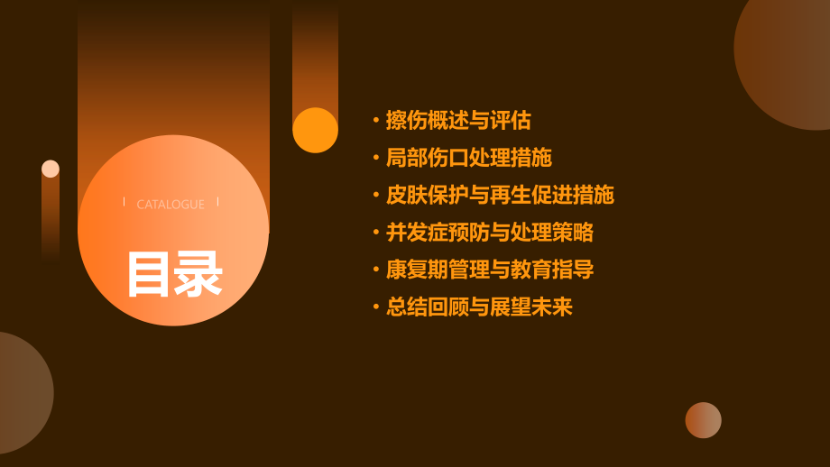 全身多处擦伤的护理措施.pptx_第2页