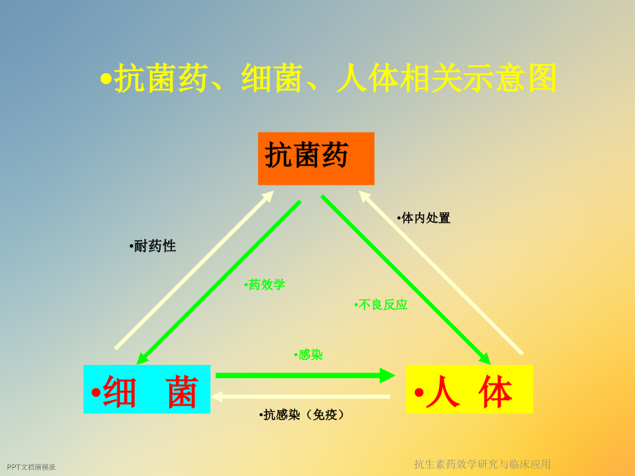 抗生素药效学研究与临床应用.ppt_第2页