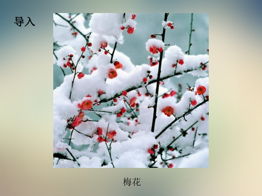 23词二首卜算子咏梅.ppt_第2页