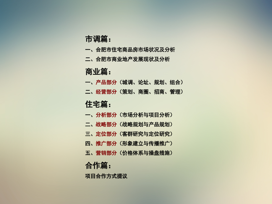 XX集团合肥公司年度市场营销策划方案》.ppt_第2页