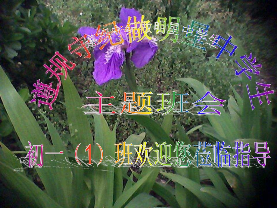 “遵规守纪-做明星中学生”主题班会.ppt_第1页