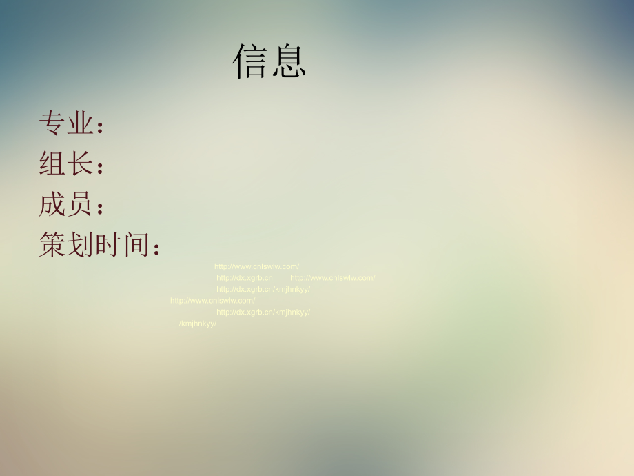 策划书ppt哦.ppt_第2页