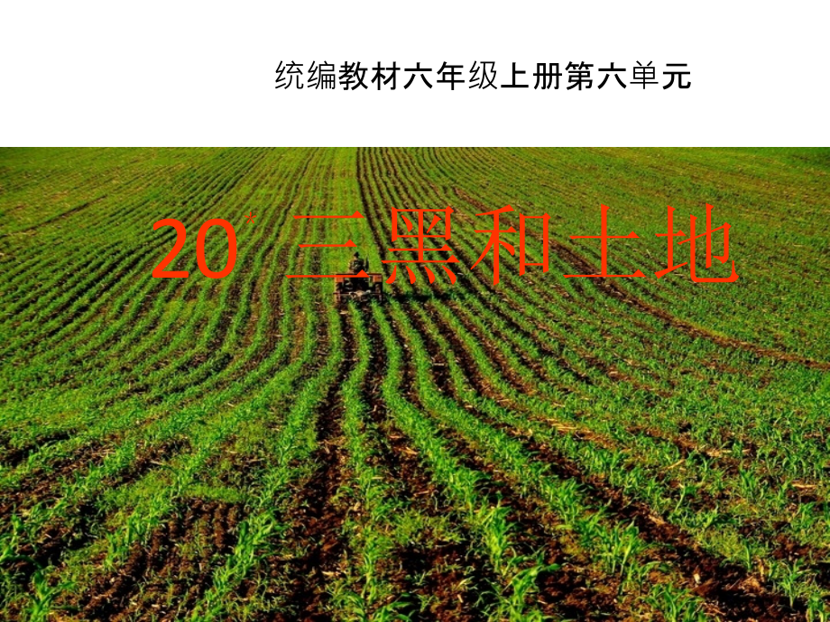 《三黑和土地》.pptx_第1页
