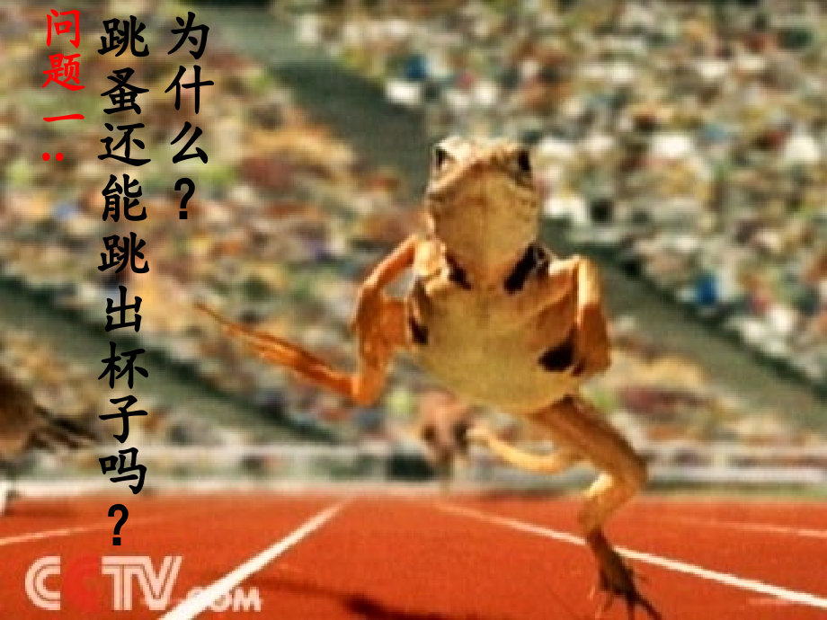 自信的主题班会.ppt_第2页