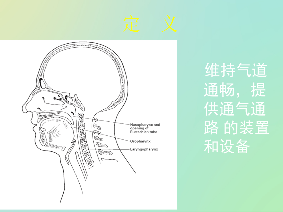 April--人工气道.ppt_第2页