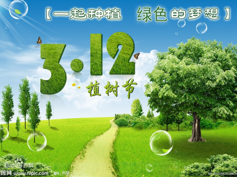 植树节专题.ppt_第2页