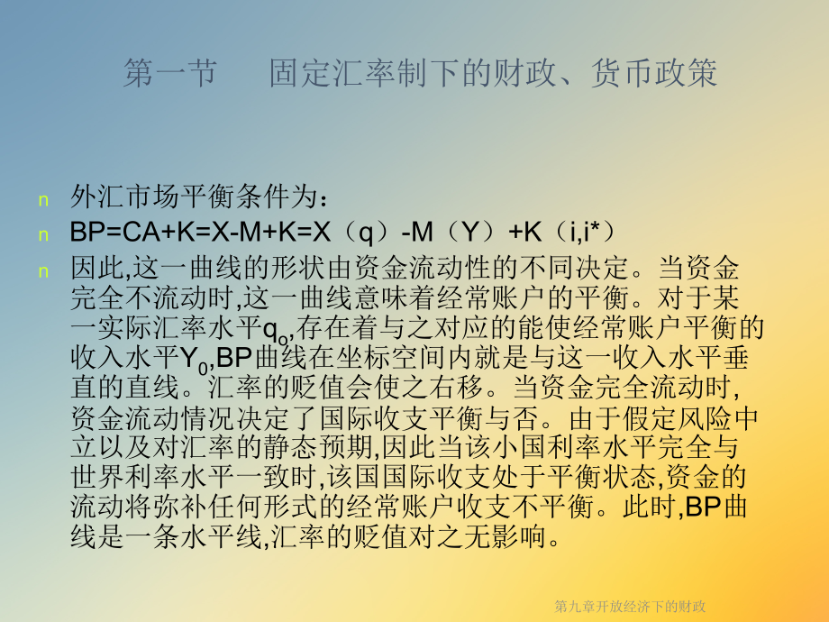 第九章开放经济下的财政.ppt_第2页