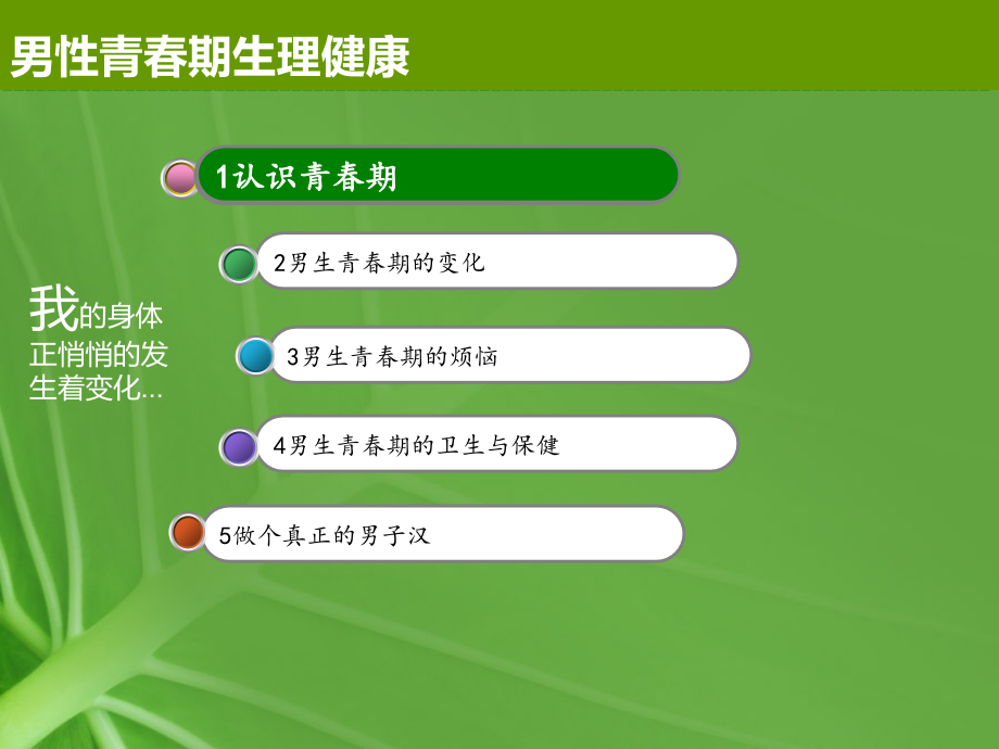 医学青春期生理卫生知识讲座男生篇专题.ppt_第2页