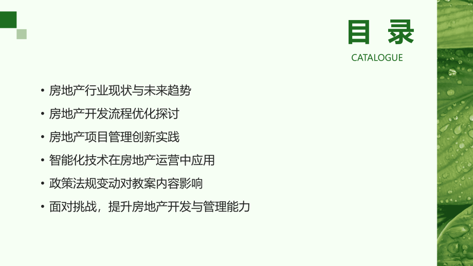 面对2025探索房地产开发与管理教案的新发展.pptx_第2页
