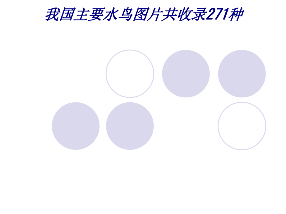 我国主要水鸟图片共收录271种.ppt_第1页