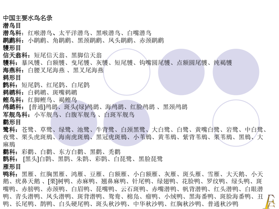 我国主要水鸟图片共收录271种.ppt_第2页