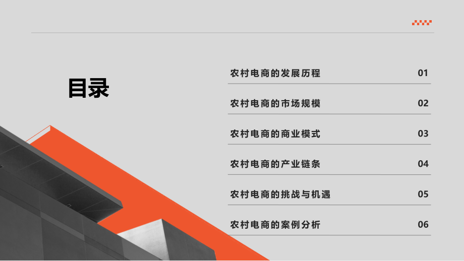 农村电商行业崭露头角.pptx_第2页