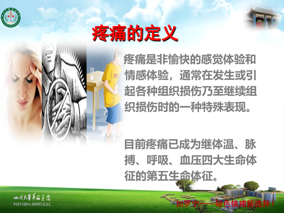 地佐辛注射液.ppt_第2页