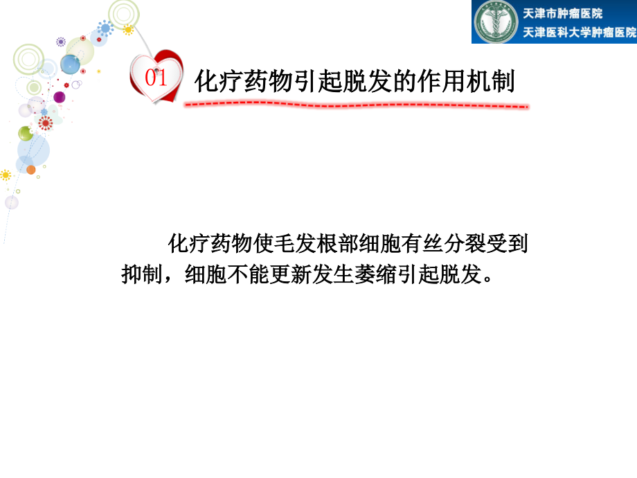化疗性脱发的护理主题讲座课件.ppt_第2页