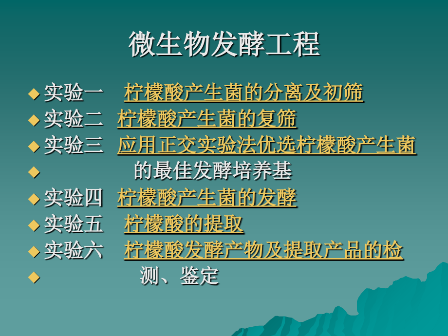 柠檬酸产生菌主题讲座课件.ppt_第2页