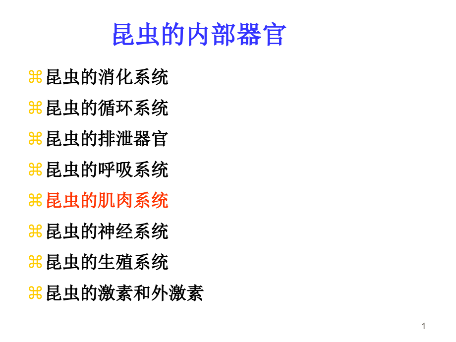 昆虫的内部器官主题讲座课件.ppt_第1页