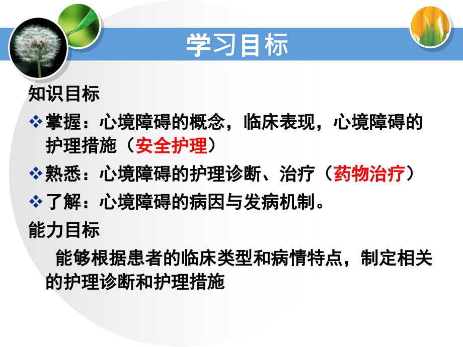 心境障碍患者的医疗护理.ppt_第2页