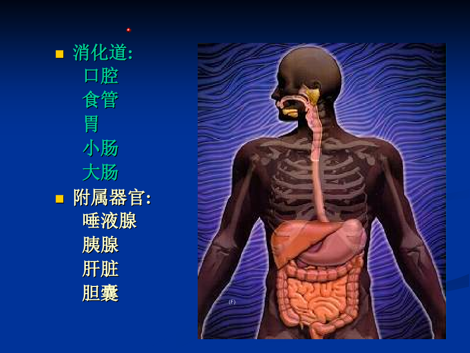 消化系统专题宣教主题讲座课件.ppt_第1页