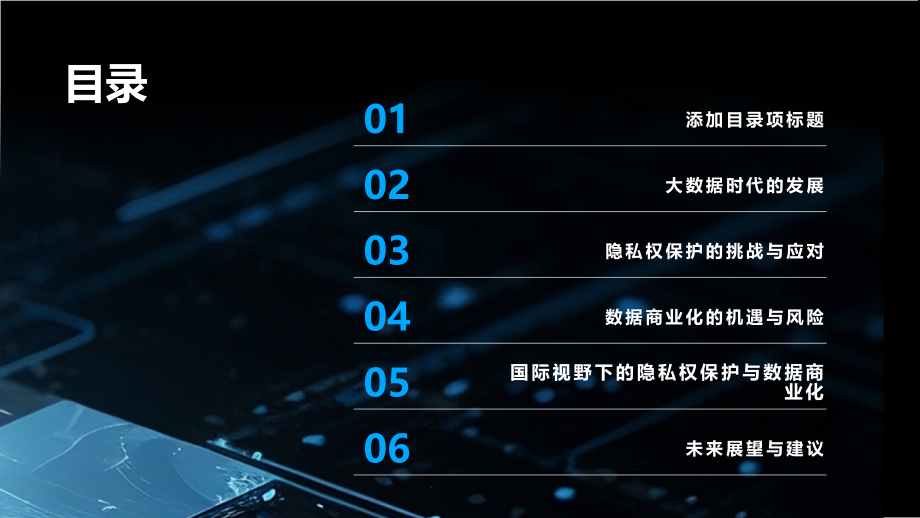 2025年大数据时代的隐私权保护与数据商业化.pptx_第2页