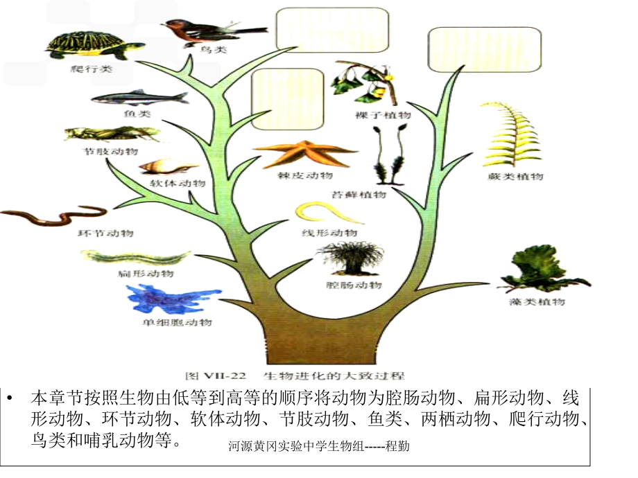 腔肠动物和扁形动物宣讲主题讲座课件.ppt_第1页