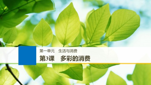 2019届江苏专版高考政治一轮复习第一单元生活与消费第3课多彩的消费讲义新人教版必修.ppt