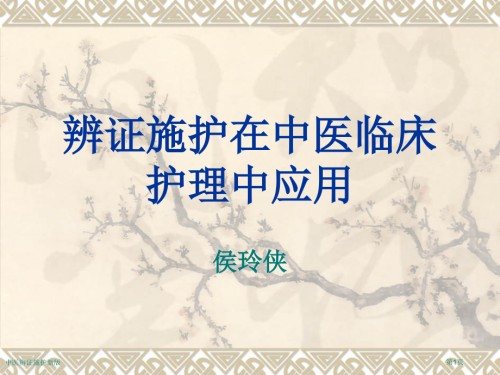 中医辨证施护新版.pptx