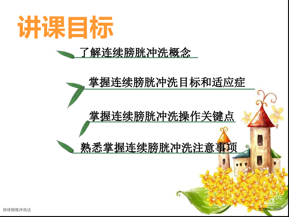 持续膀胱冲洗法.pptx_第2页