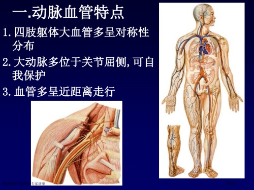 颈动脉窦专题知识专家讲座.pptx