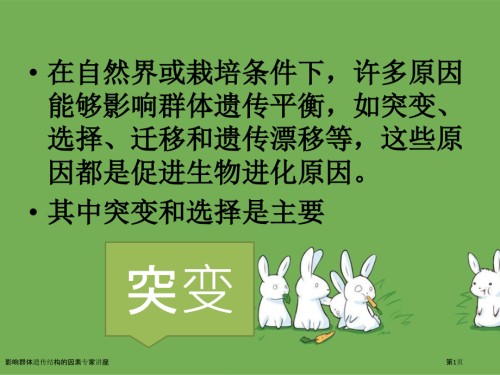 影响群体遗传结构的因素专家讲座.pptx