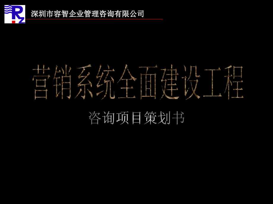 美容化妆品企业营销系统咨询方案.pptx_第1页