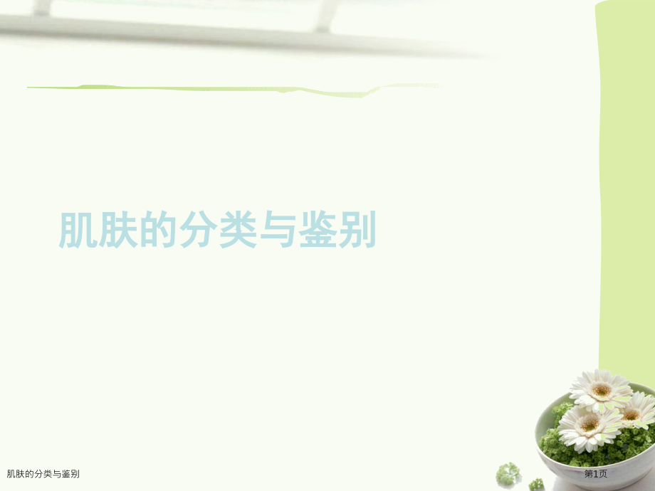 肌肤的分类与鉴别.pptx_第1页