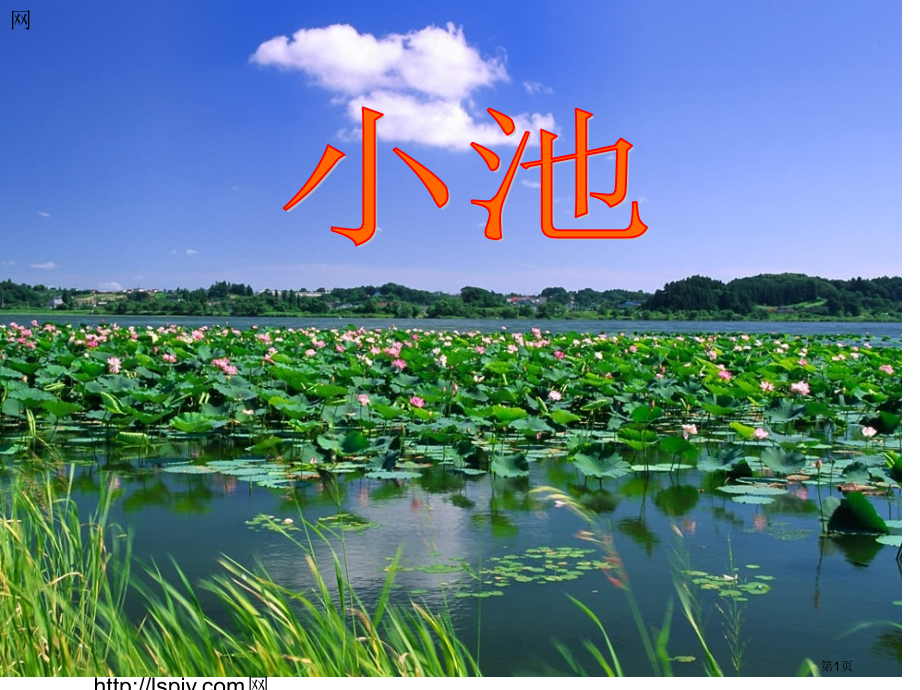 人教版12.古诗两首-小池.pptx_第1页