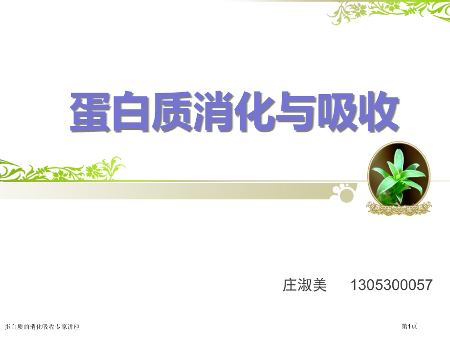 蛋白质的消化吸收专家讲座.pptx_第1页