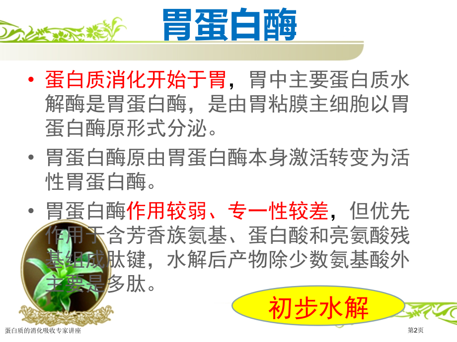 蛋白质的消化吸收专家讲座.pptx_第2页