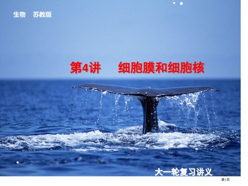 高考苏教版生物大一轮第4讲细胞膜和细胞核.pptx