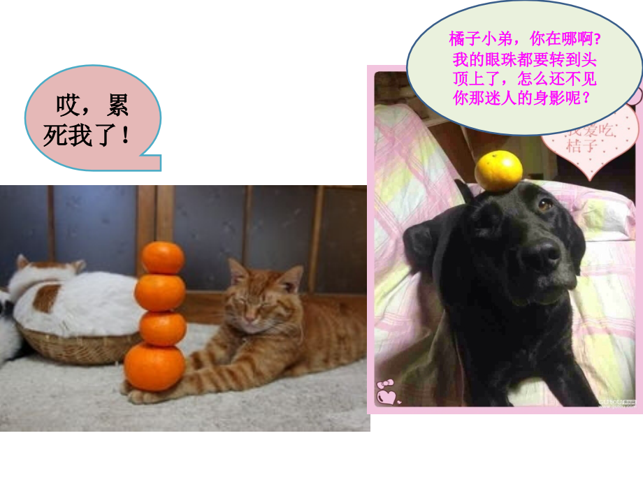 活动作文顶橘子.ppt_第2页