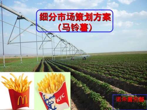 马铃薯市场分析.ppt