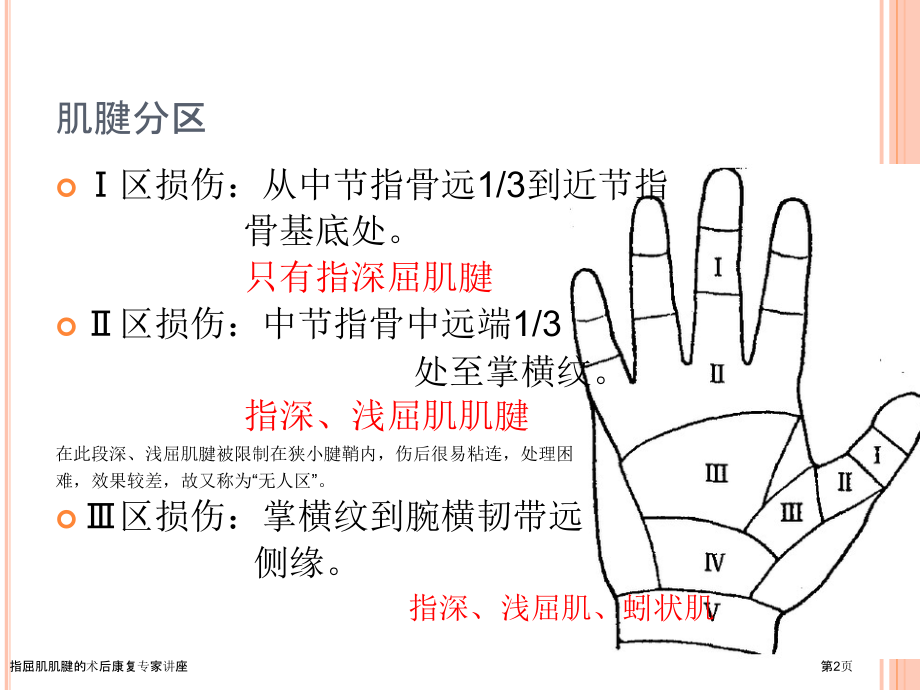 指屈肌肌腱的术后康复.pptx_第2页