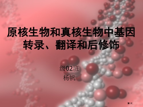 真核生物和原核生物的转录调控.pptx
