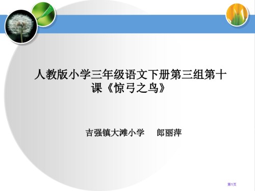 惊弓之鸟说课.pptx