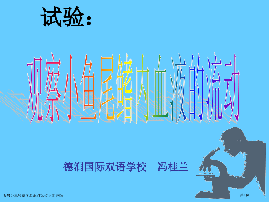 观察小鱼尾鳍内血液的流动.pptx_第1页