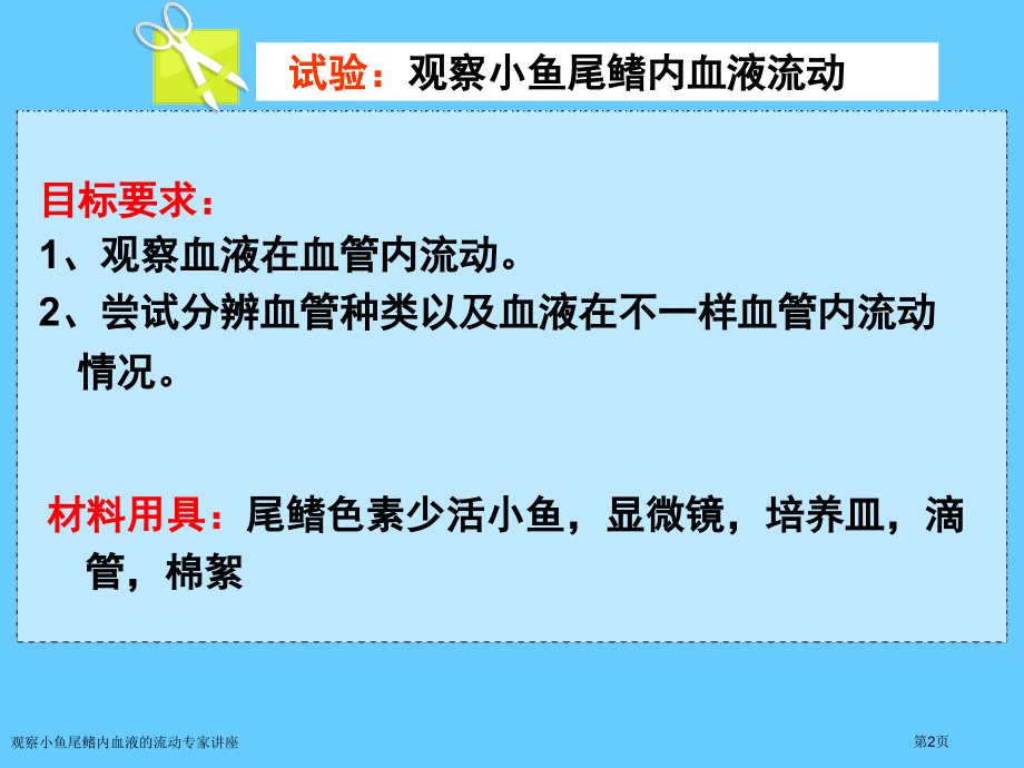 观察小鱼尾鳍内血液的流动.pptx_第2页