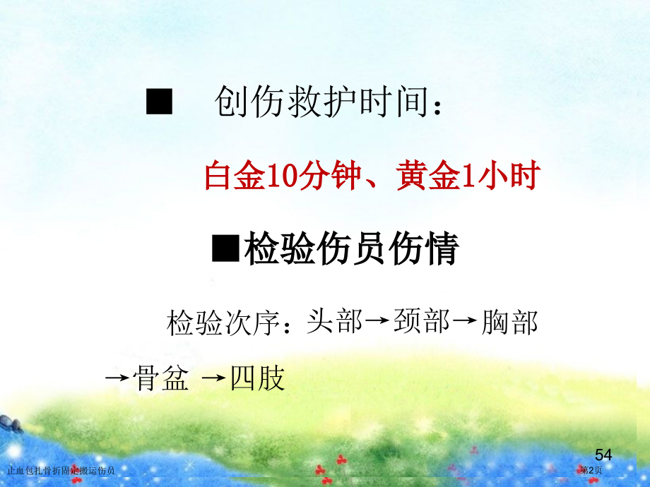 止血包扎骨折固定搬运伤员.pptx_第2页