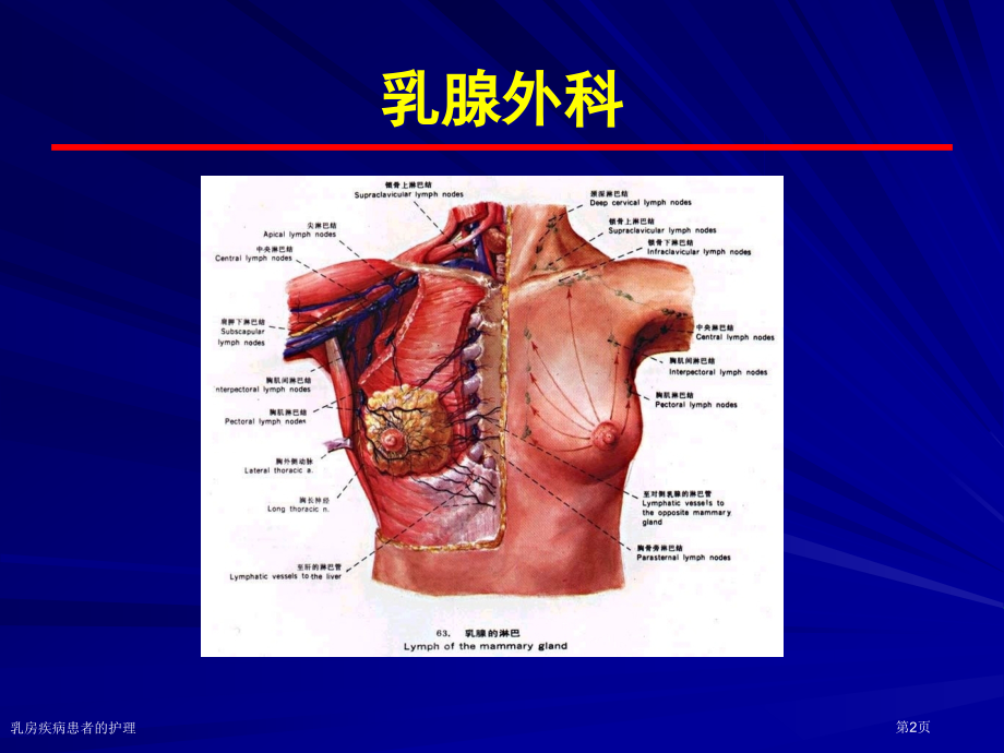乳房疾病患者的护理.pptx_第2页