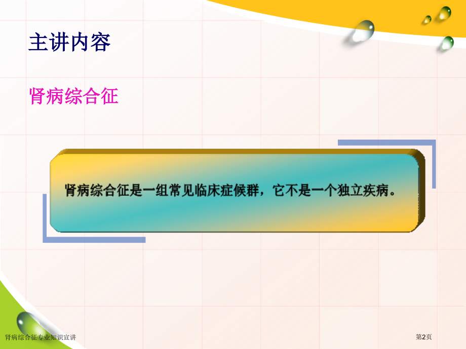 肾病综合征专业知识宣.pptx_第2页