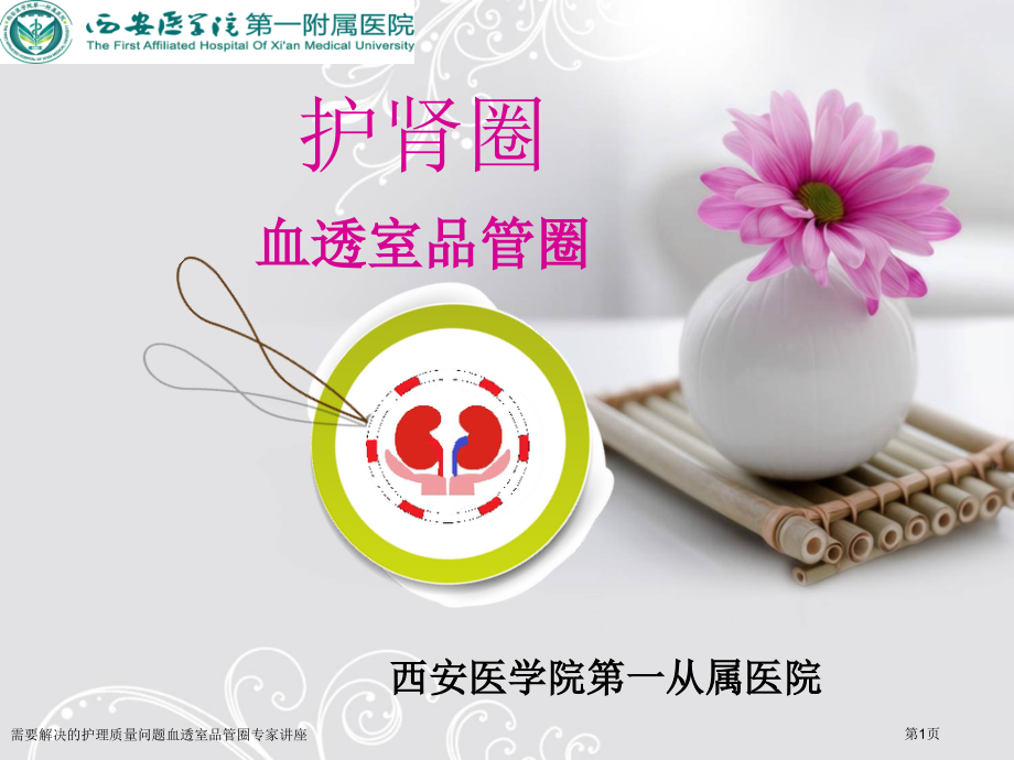需要解决的护理质量问题血透室品管圈.pptx_第1页
