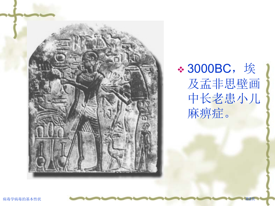 病毒学病毒的基本性状.pptx_第2页