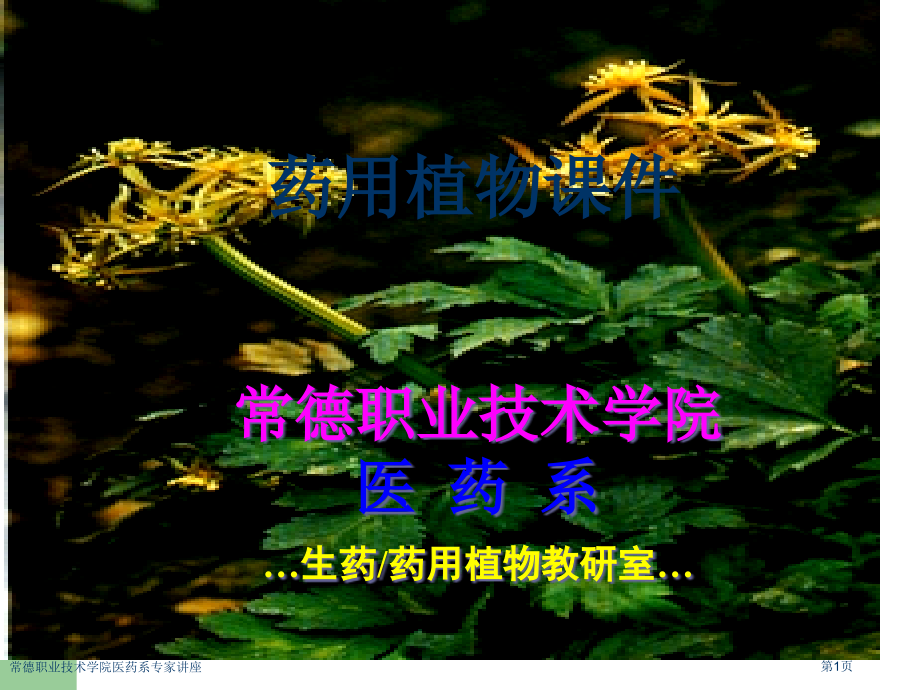 常德职业技术学院医药系.pptx_第1页